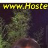 Modelle e hostess hostessweb, clicca